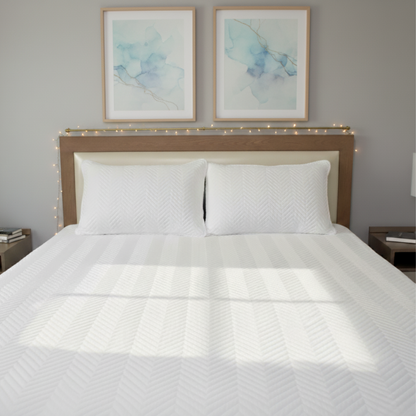 PROTECTOR DE COLCHON ANTIFLUIDO + FUNDAS DE ALMOHADA